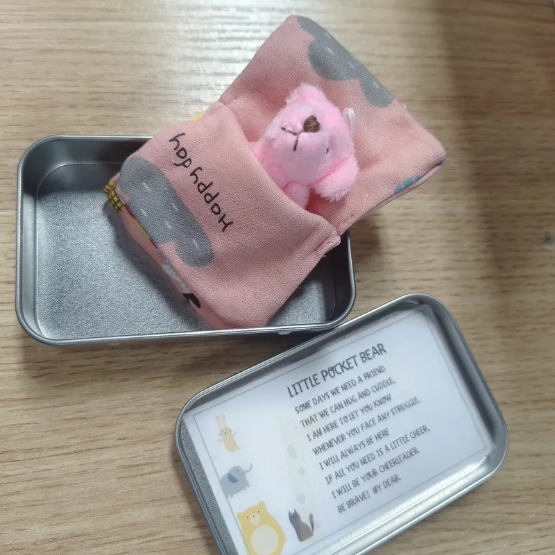 2023 New 3 Colors Teddy Bear in a Tin Box Plush Mini Bear Keychain Book Bag Pendant Gift