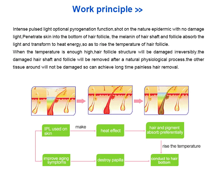 S09c73574d7e44e28ac66ffb64fb4116dm