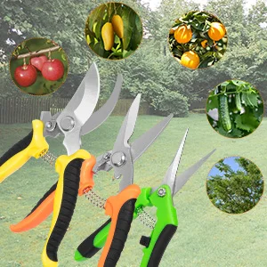 3 Pack Garden Pruning Shears Set Stainless Steel Scissors Clippers Pruning Snips Shears Hand Tools for Flowers Leaves Potted