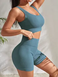 Women's Seamless Ribbed Yoga & Workout Set - 2-Piece Crop Tank and High Waist Shorts - L (Grey Green)