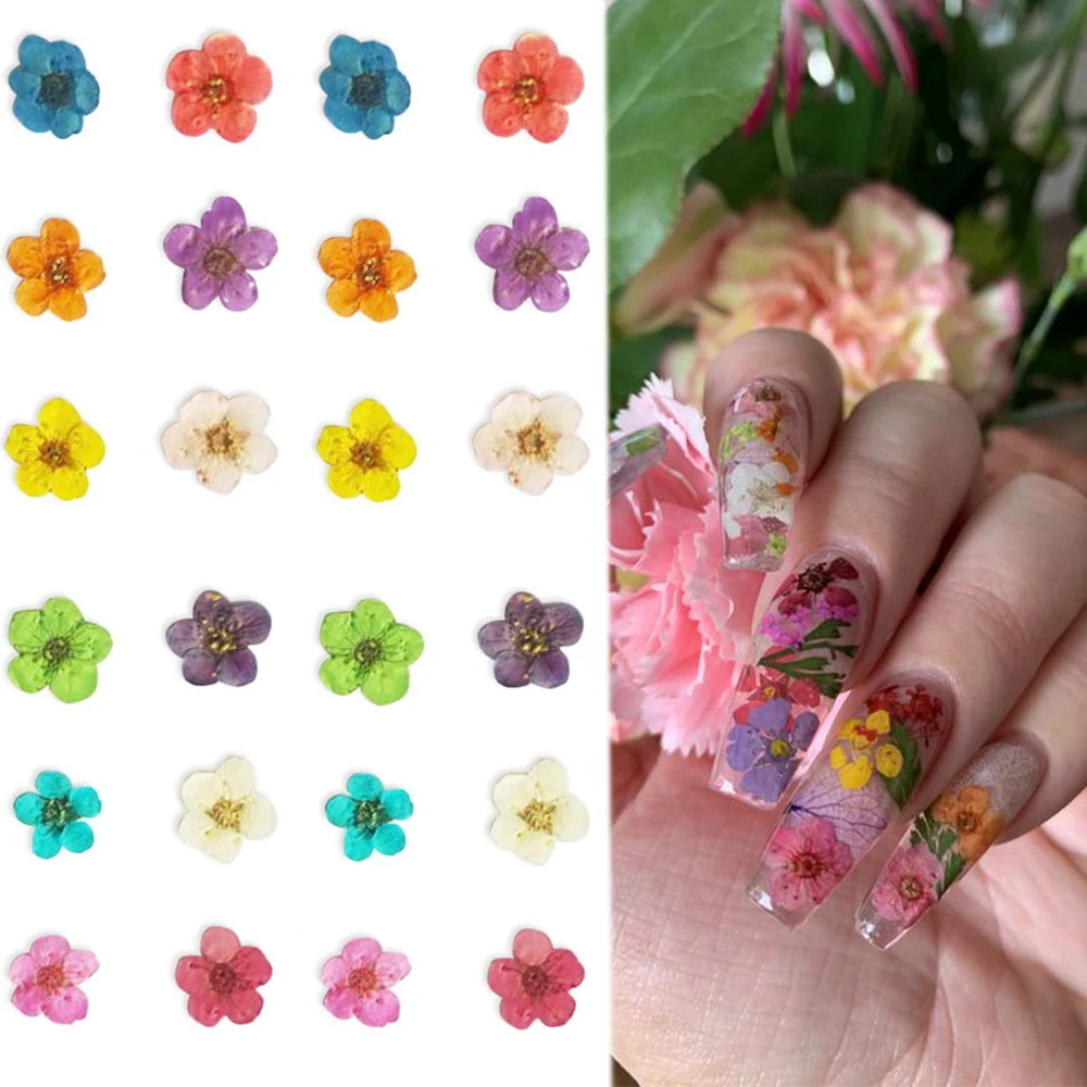 Nail Art Dried Flowers For Nails Mold Fillings UV Expoxy Flower For Pressed  Flower Nails Accessories 3d Nail Charms Decorations