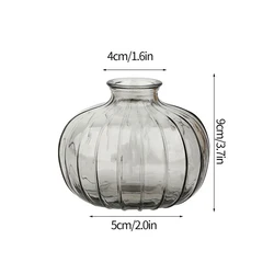 Nordic Transparent Glass Bud Vase - Decorative Floral Hydroponic Plant Pot (S12)