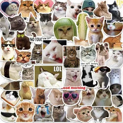 Cute Funny Cat Meme Graffiti Stickers - Waterproof Decorative Pack (B 50pcs)