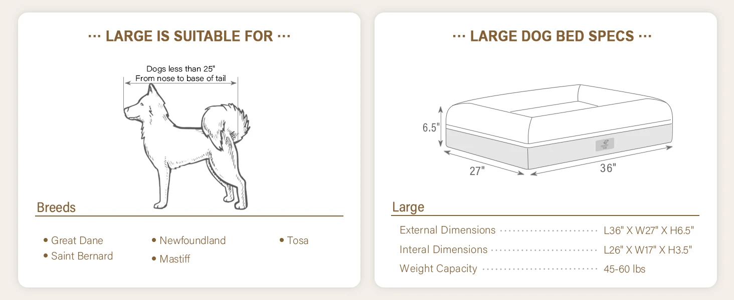 large dog bed