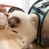 New Cat Space Capsule Transparent Cat Carrier Bag Breathable Pet Carrier Small Dog Cat Backpack Travel Cage Handbag for Kitten 3