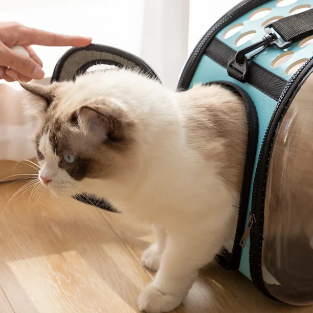 New Cat Space Capsule Transparent Cat Carrier Bag Breathable Pet Carrier Small Dog Cat Backpack Travel Cage Handbag for Kitten 3