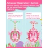 Full Dry Anti fog and Waterproof Unicorn Diving Mask With Advanced Respiratory System Swim and Snorkel For Children 3