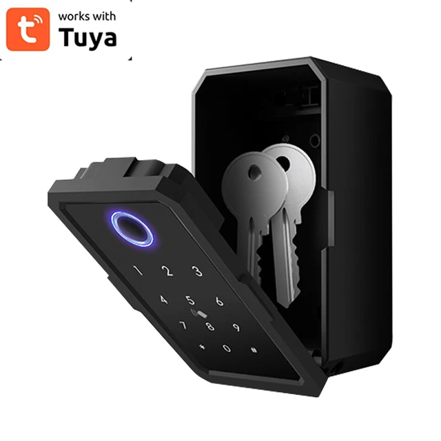 Keychain Box Storage Secret Key Lock Fusebox Bluetooth TTlock/Tuya App Unlock Wifi Gateway Safety Box Padlock Outdoor 6