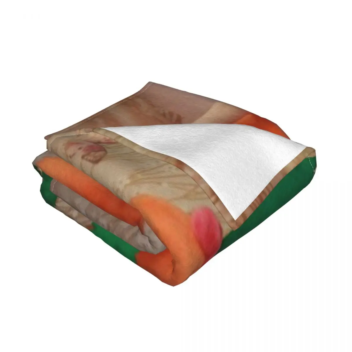 ĳ�� �йи� ħ�� ��� ħ�뺸, �� ������, �ɺ�, ����Ƽ, ������, �罺��, ���̺� ���