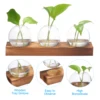 Glass Vases with Wooden Tray 3 Bulb Flower Vase Small Plant Propagation Stations for Wedding Bedroom Home Decor Table Decoration 3