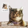 Custom 3D Animal Shape Ugly Pillows,Personalized 3D Human Head Photo Portrait Pillow,Funny Custom Pet Dog Cat Weird Pillow 6