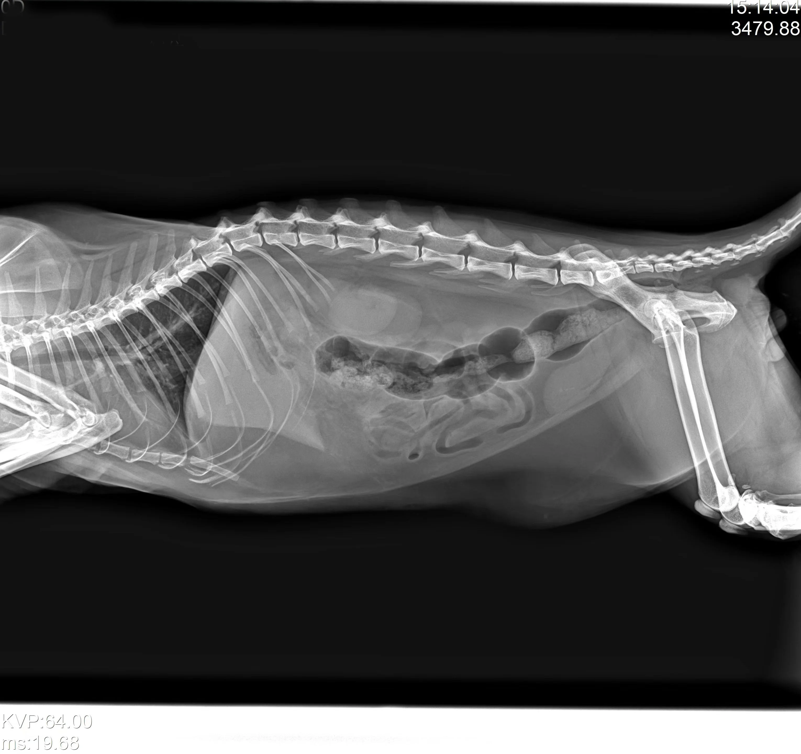 Рисунок 4 - Ветеринарная Диагностика Mars 1417