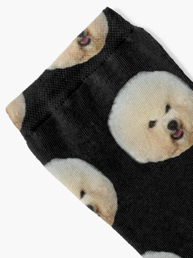 A Very Beautiful Bichon Frise Dog Socks cartoon socks summer valentines day gift for boyfriend