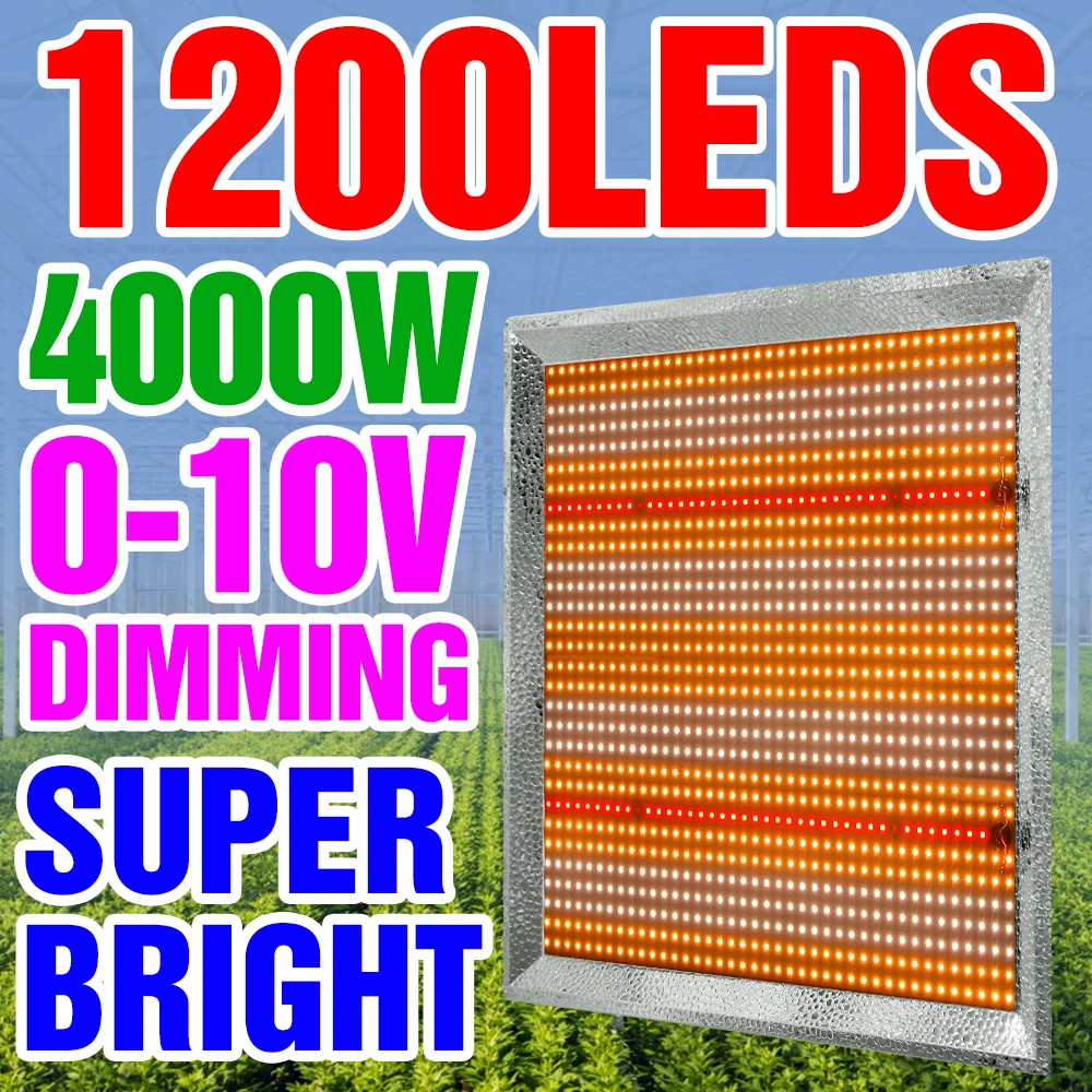 

LED Quantum Board Plant Grow Light High Power Lamp Full Spectrum Greenhouse Phytolamp For Seedlings Phytolamp 2000W 3000W 4000W
