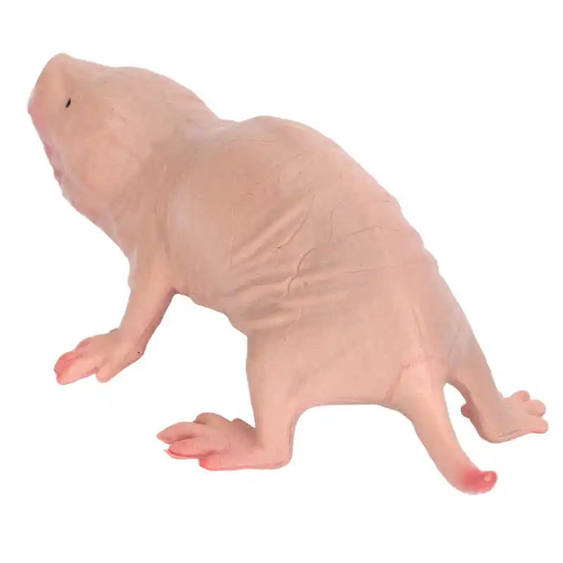 Plastic Mole Figurine Toy Simulation Static Full Core Naked Mole Model for Kids Sand Table Ornaments 2