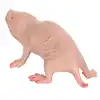Plastic Mole Figurine Toy Simulation Static Full Core Naked Mole Model for Kids Sand Table Ornaments 2