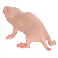 Plastic Mole Figurine Toy Simulation Static Full Core Naked Mole Model for Kids Sand Table Ornaments 2