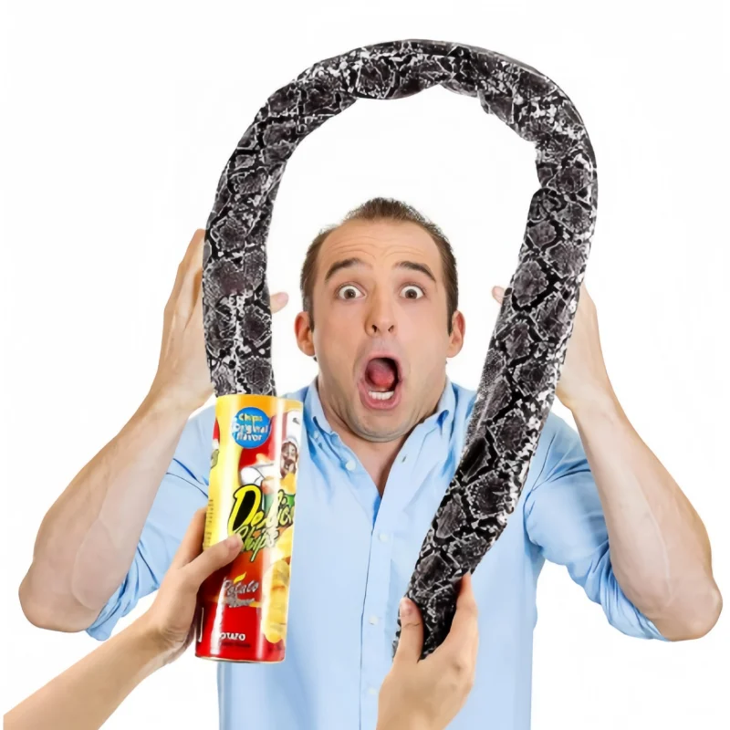 Prank Toys Snake Toy Tricky Toy Spider Box Funny Reusable for Party