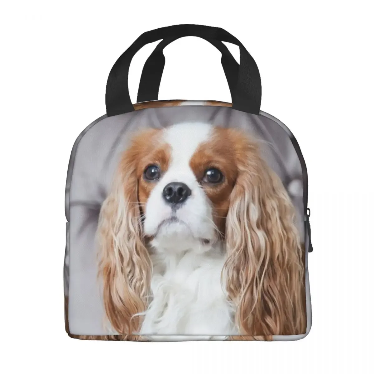 Lunch Bag Women Cooler Thermal Insulated Lunch Box Cavalier King Charles Spaniel for Kids School Children