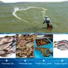 Fishing Net Fish Mesh Trap Monofilament Gill Net Netting Outdoor Fishing Tackle Three Layer  Monofilament Mesh Fish Mesh Trap 5