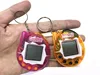 2 pack random color