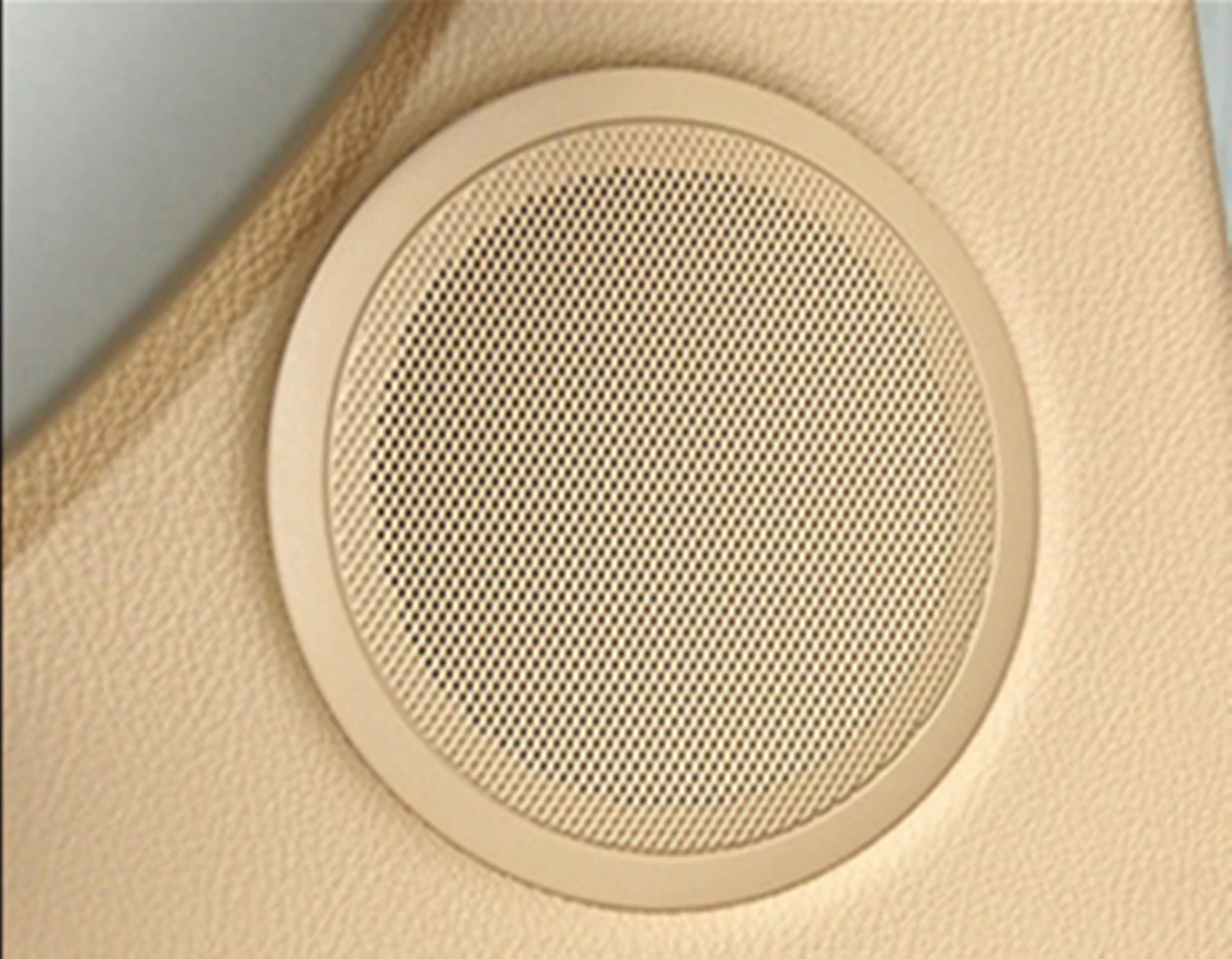 1PC 자동차 내부 도어 스피커 커버 오디오 경적 케이스 트림 BMW F30 F31 F34 F35 F80 F22 F23 F87 F32 F33 F36 표준 버전