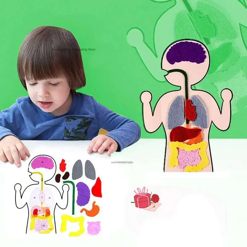 Montessori Body Parts Set Felt Board Stories Teaching Book for Toddlers Sensory Toy Preschool Teaching Story Travel Board 4