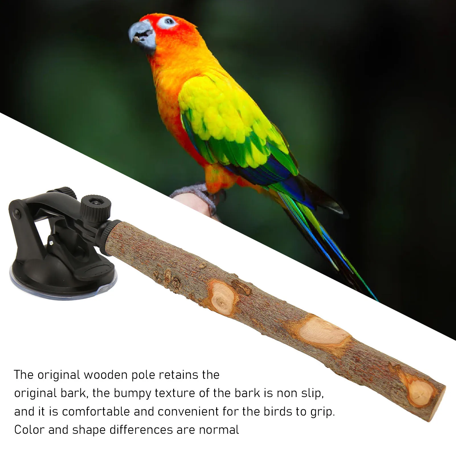 Wood Parrot Perch Prevent Slip Interactive Bird Window Perch Stand With Suction Cups For Small Medium Bird 3