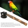 Wood Parrot Perch Prevent Slip Interactive Bird Window Perch Stand With Suction Cups For Small Medium Bird 3