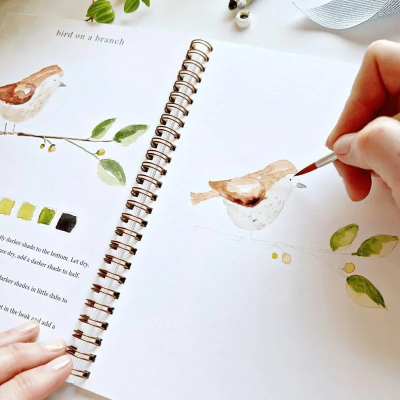 Bird Watercolor Workbook Beginner Friendly Life Color Palette Series Watercolor Practice Book Coloring Book 12 Color Paint Pen