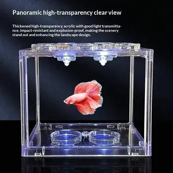 Acquario Cilindrico con Piante Marine per Decorazione Casa e Ufficio, Mini Acquario in Acrilico, Terrario per Rettili, Contenitore Impilabile