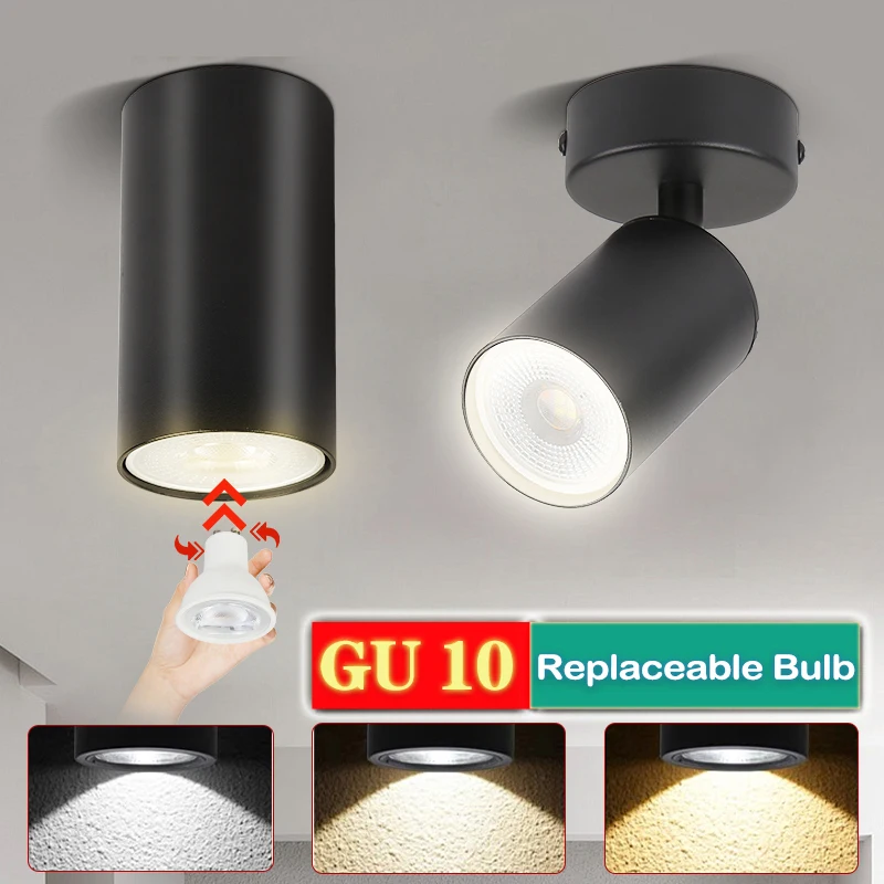 Sleek Aluminum LED Ceiling Downlight with Replaceable Bulb for Versatile Indoor Ambiance