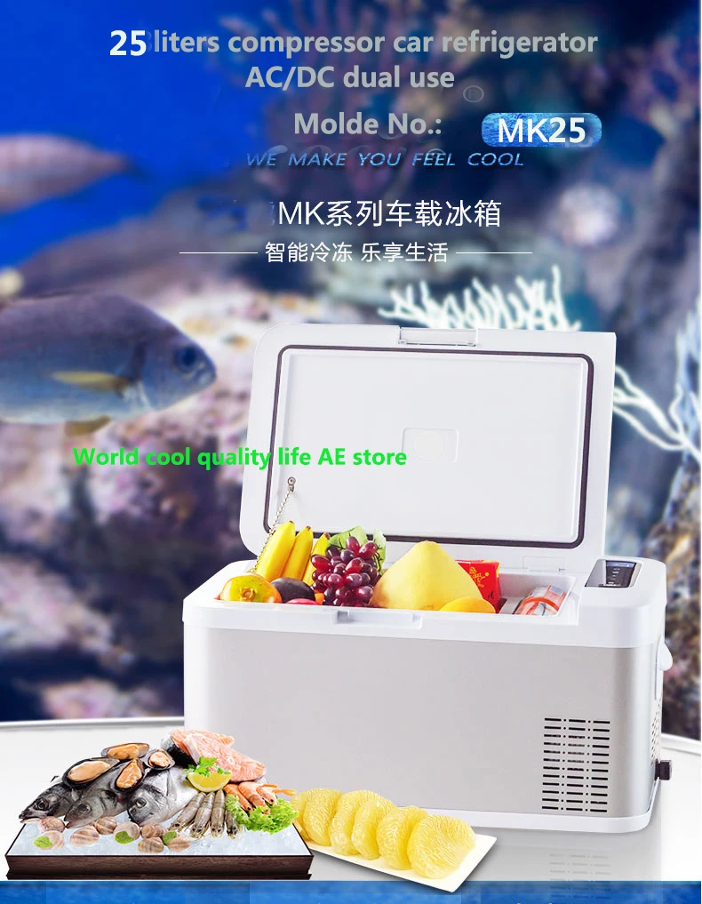 Alpicool 자동차 냉장고, DC12V24V 압축기, 휴대용 냉동고 냉장고, 빠른 냉동, 여행 야외 피크닉 쿨러, 25L