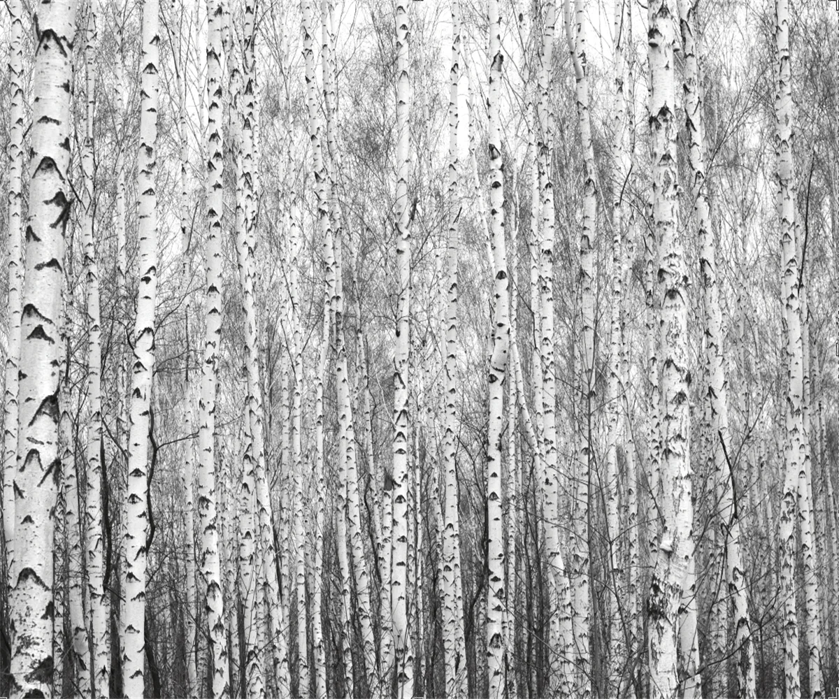 

Настенные обои ручной росписи, европейская ностальгия, береза, спальня, гостиная, фон для телевизора, Настенные обои