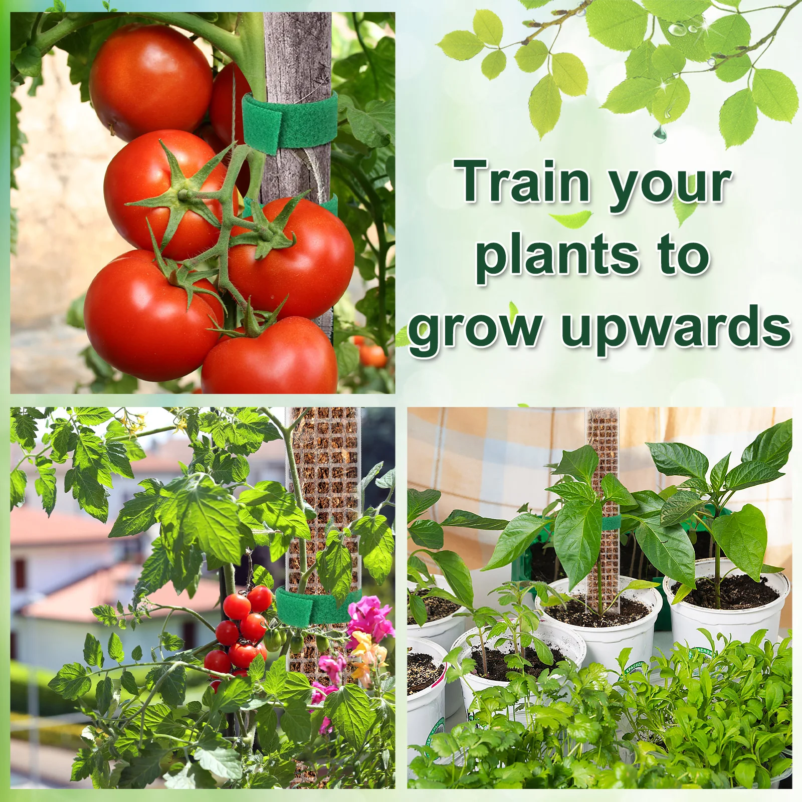 2/4/6Pcs Moss Pole Plastic Plant Pole Stick Reusable Transparent Plant Support Gardening Supplies Accessory for Climbing Plants