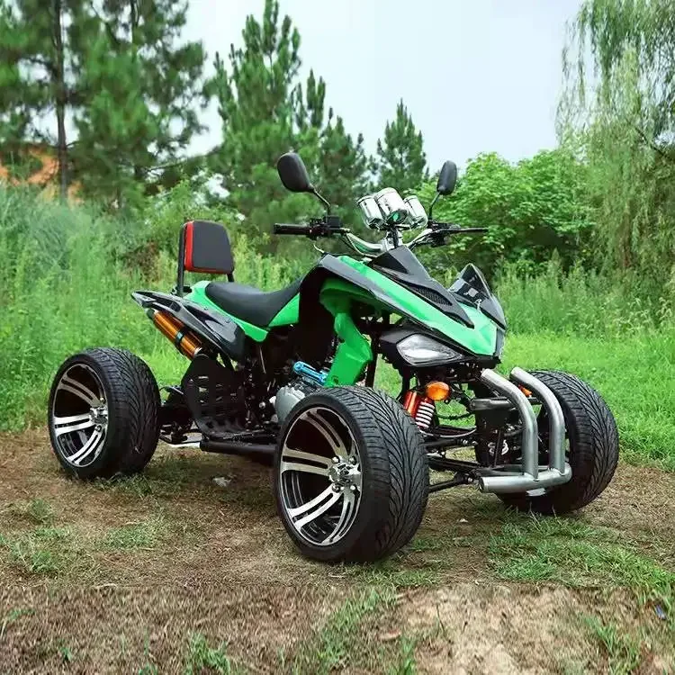 125CC Off Road Bike Dirt Mars Mountain ATV Quad Farm ATVs 4 Stroke Chain Drive Customize Gas Vehicle