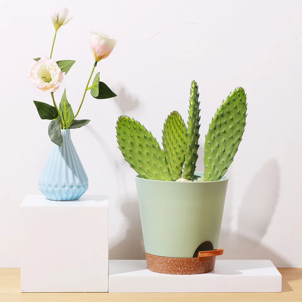 Vasi Autoirriganti Outigu - Set 5 Pezzi Con Piattino Per Piante Da Interno