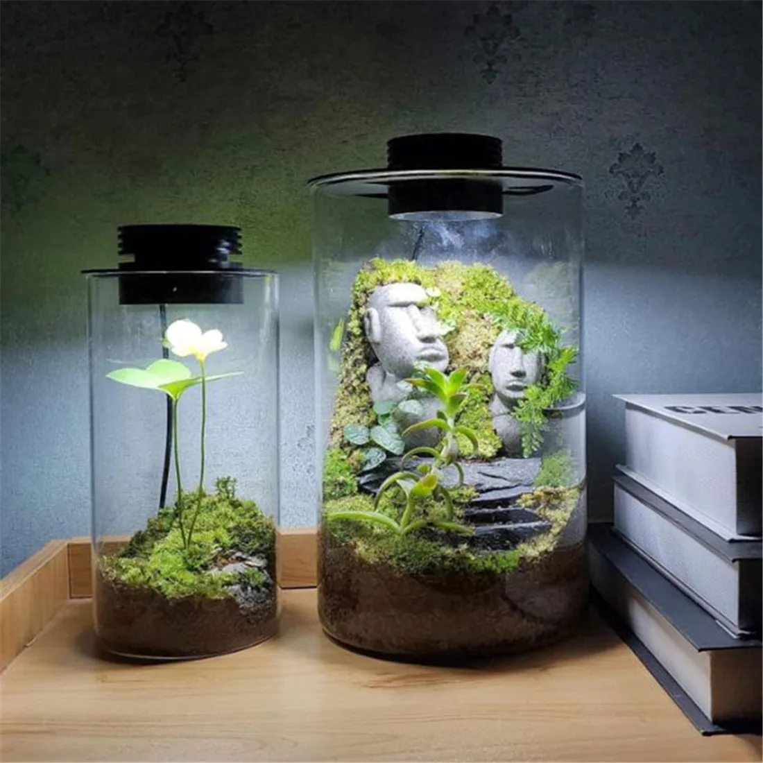 Led grow light grow light Dimmable USB Terrarium Plant Growing Lamp with Timer Vases Indoor Plant Growth Succulent Miniature Gardening Landscape