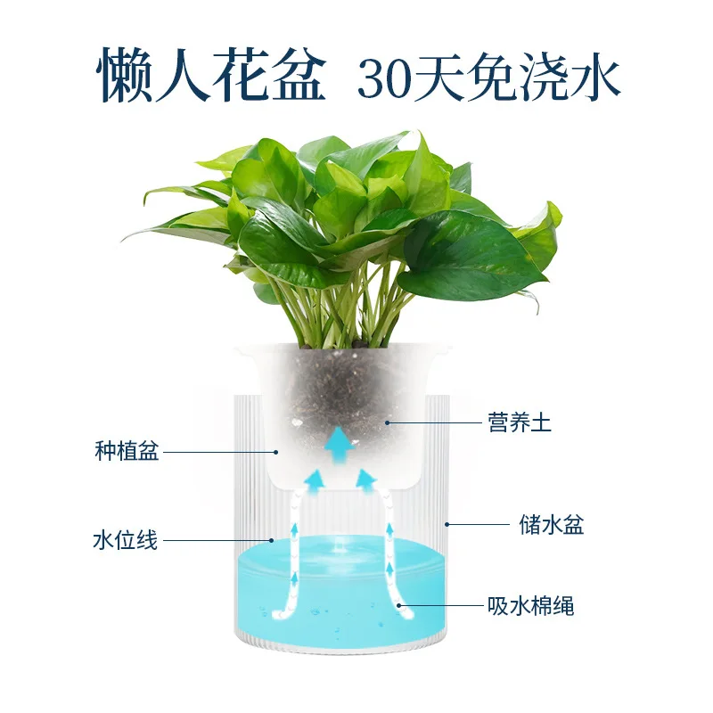 

Automatic Water Absorption, Free of Water Storage, Flower Pot, Transparent Hydroponic Plastic Green Basket Potted Plant