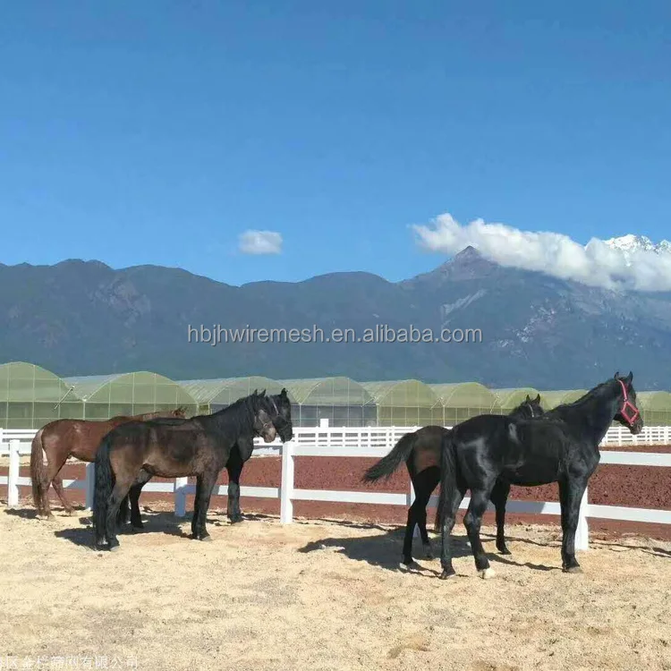 High Quality Vinyl Pvc Philippines Gates And Fences White Pvc Fence Competitive Price Pvc Fence For Horse 5