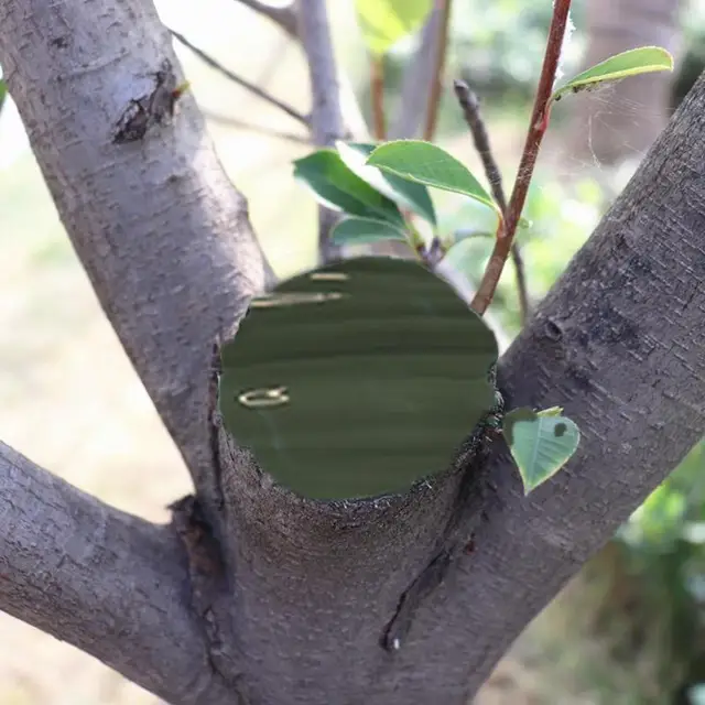 Fa Sebgyógyító Tömítőanyag Növényi Oltó Metszés Tömítés Bonsai Vágott Sebpaszta Kenet Javító Kenőcs Szerszámok - Image 2