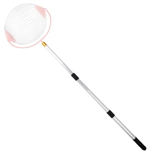 Hosszabbító Pólus Állítható Diófélékhez Pólusok Pekándió Golf Tenisz Golyók Játék