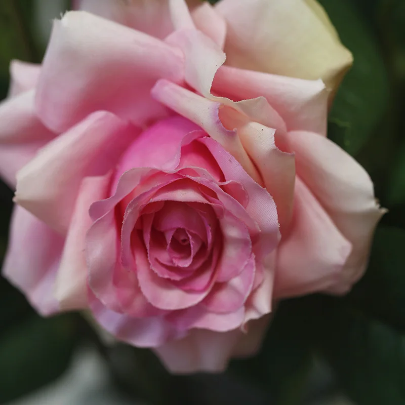 52 cm3 Köpfe gekräuselte Rose künstliche Blume nach Hause Hochzeit Blumenstrauß dekorative Verzierung fühlen sich realistische feuchtigkeit spendende Rose – Detail 16