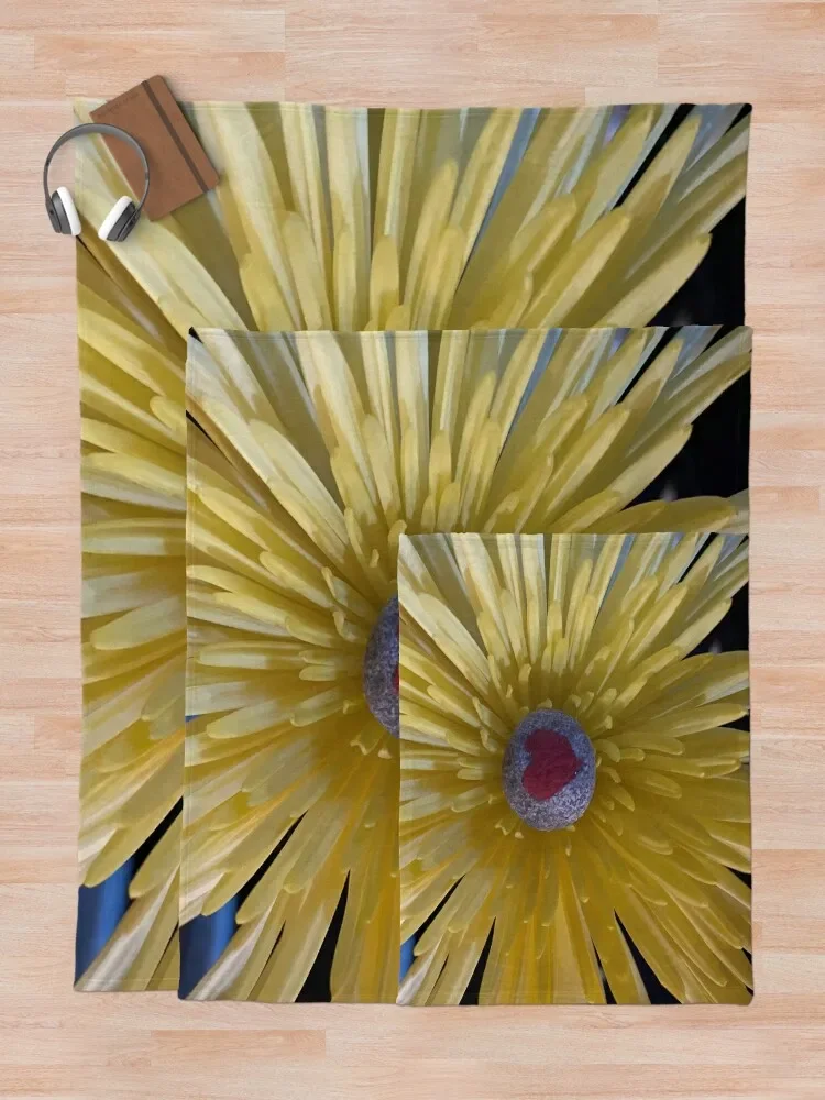 �������� ����Ʈ ������ ���, ���� ���� ���