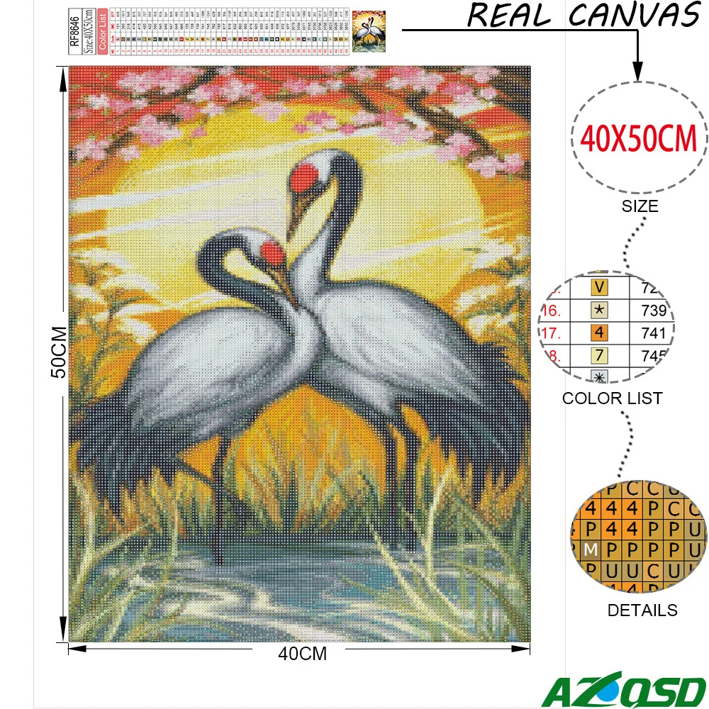 57.jpg_.webp 57.jpg_.webp