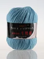A 36 qin lan