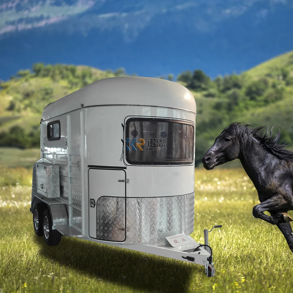 Рисунок 4 - Двухлошадный прямой роскошный модельный