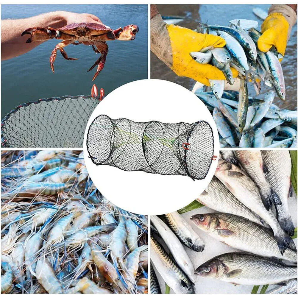 30 x 60cm Foldable Drop Net Fishing Landing Prawn Bait Crab Shrimp Pier  Harbour Pond Mesh for Vertical Shore Use 2Hole - AliExpress