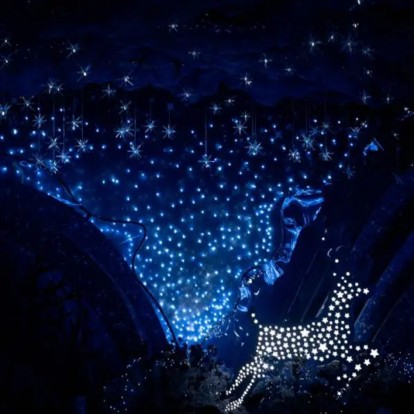 Starlight Fashion Bag Store