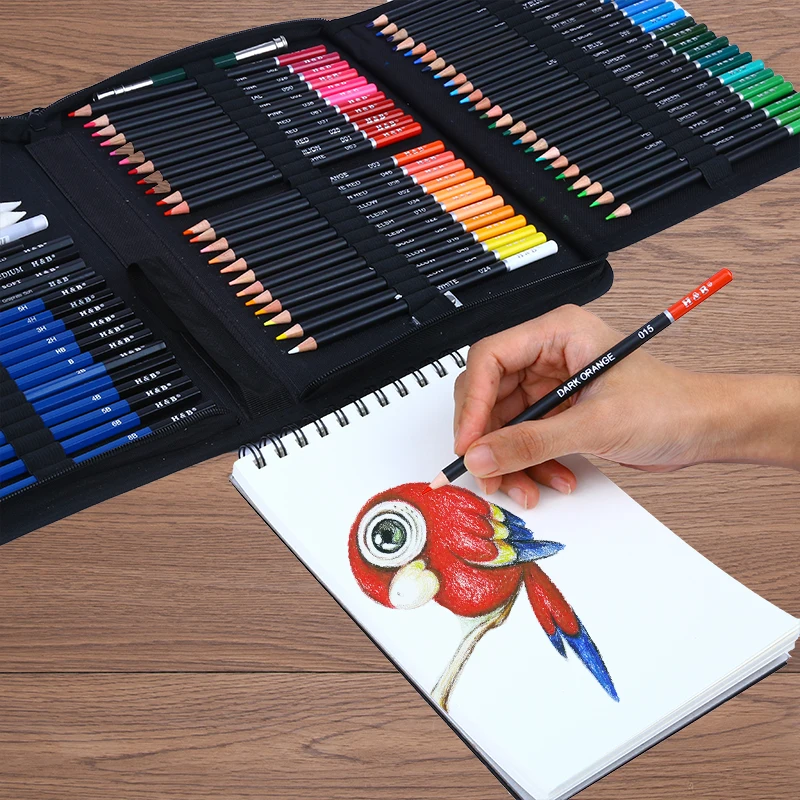 Kit profesional de 126 piezas, lápices de boceto y colores, juego de  lápices de dibujo artístico para Artsist, juego de lápices de dibujo con  bolsa de nailon - AliExpress